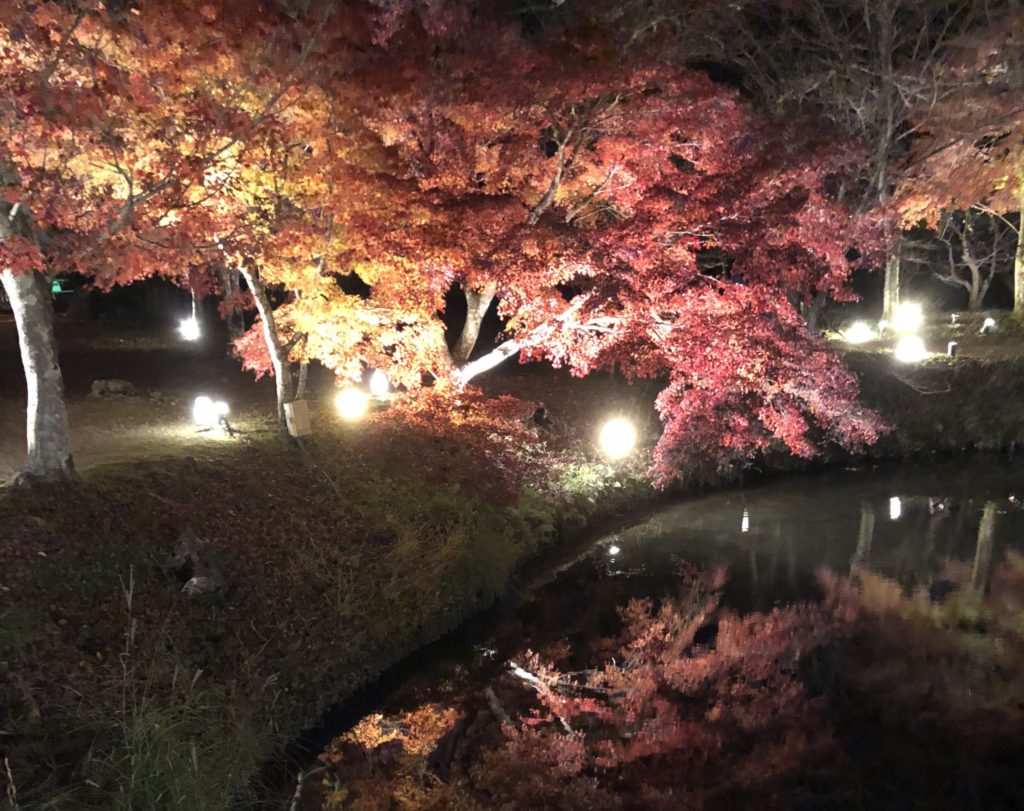 手荒れは秋が深まるころにやってくる
