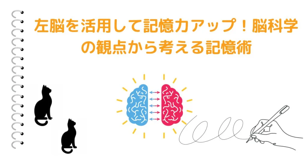 左脳を活用して記憶力アップ！脳科学の観点から考える記憶術