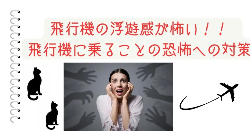 飛行機の浮遊感が怖い！！ - 飛行機に乗ることの恐怖への対策