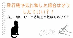 飛行機で忘れ物した場合はどうしたらいい？！JAL、ANA、ピーチ各航空会社の対応ガイド