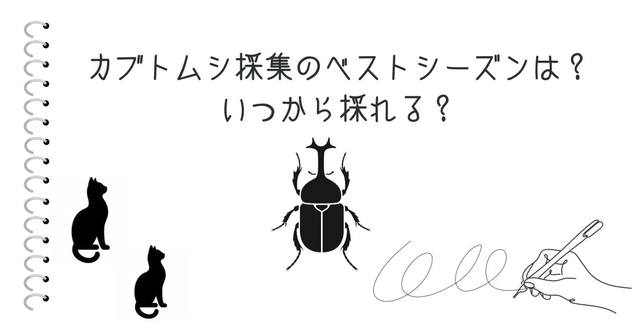 カブトムシ採集のベストシーズンは？いつから採れる？