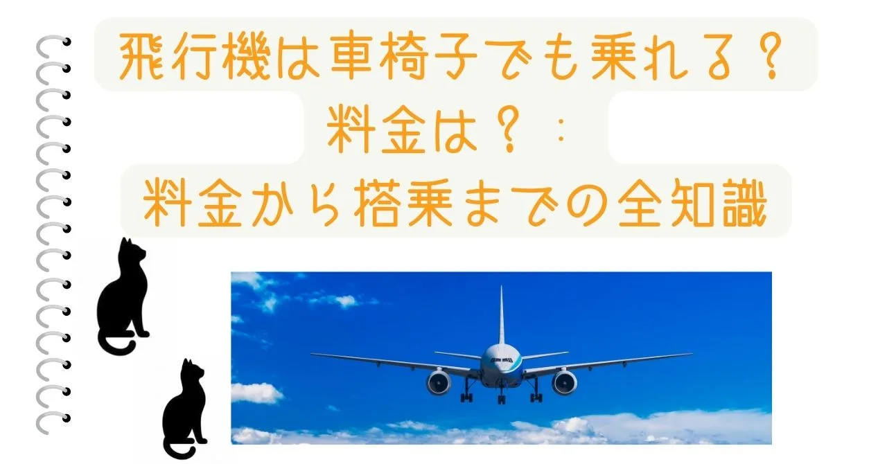 飛行機は車椅子でも乗れる？料金は？：料金から搭乗までの全知識