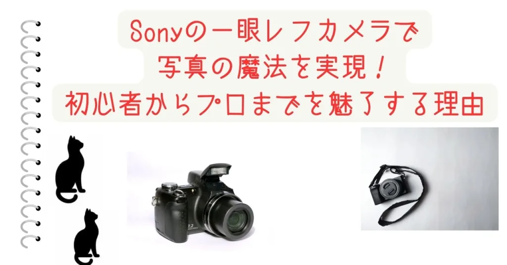 Sonyの一眼レフカメラで写真の魔法を実現！初心者からプロまでを魅了する理由
