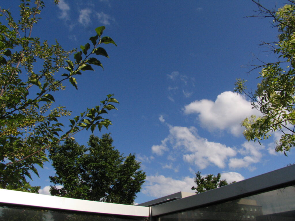 powershot pro1