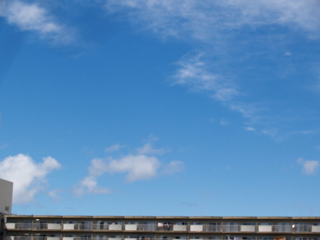 OLYMPUS E-300